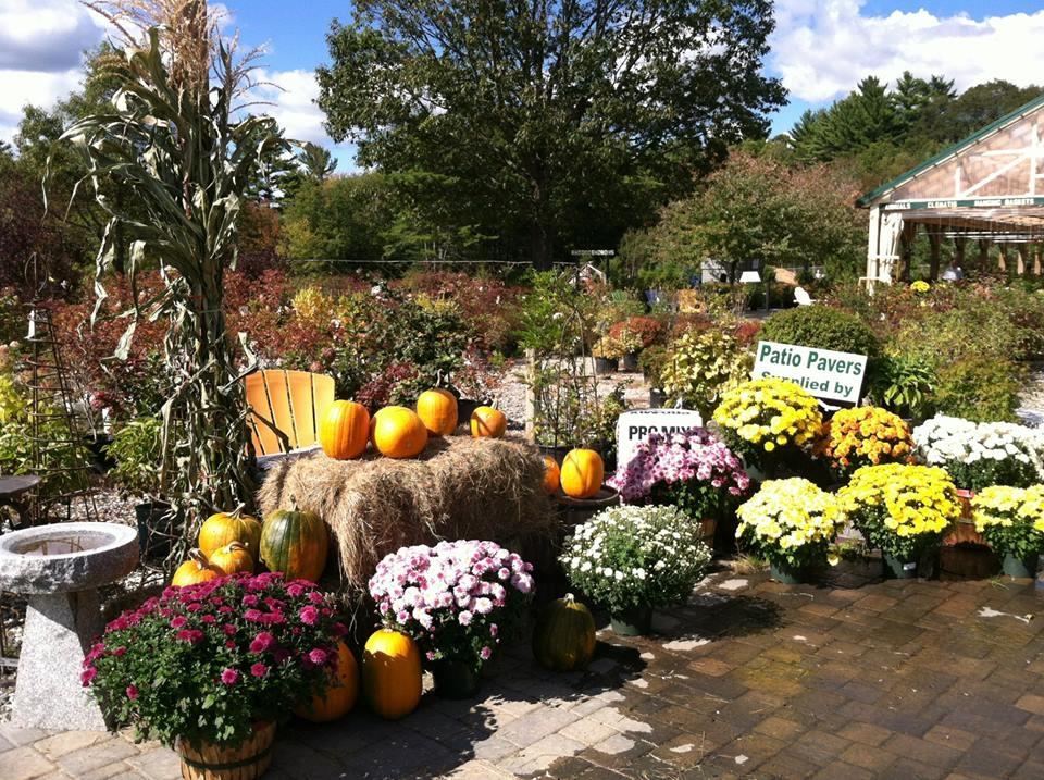 Gammon's Garden Center