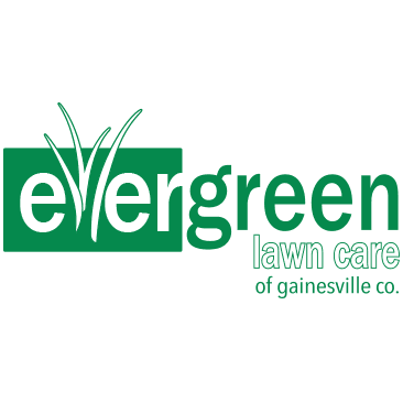 Evergreen Lawn Care