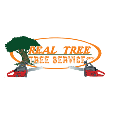 Real Tree-Tree Service