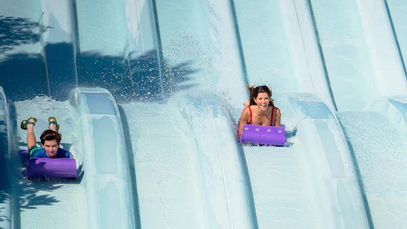 Toboggan Racers