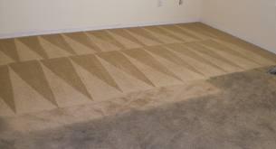 100% Non Toxic Green Carpet Cleaning Service