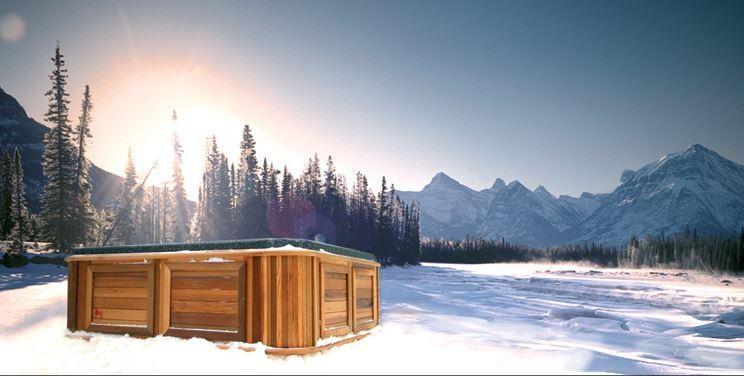 Arctic Spas NW