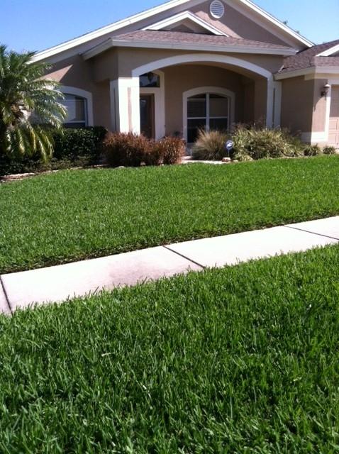 spectrum lawn and landscape llc