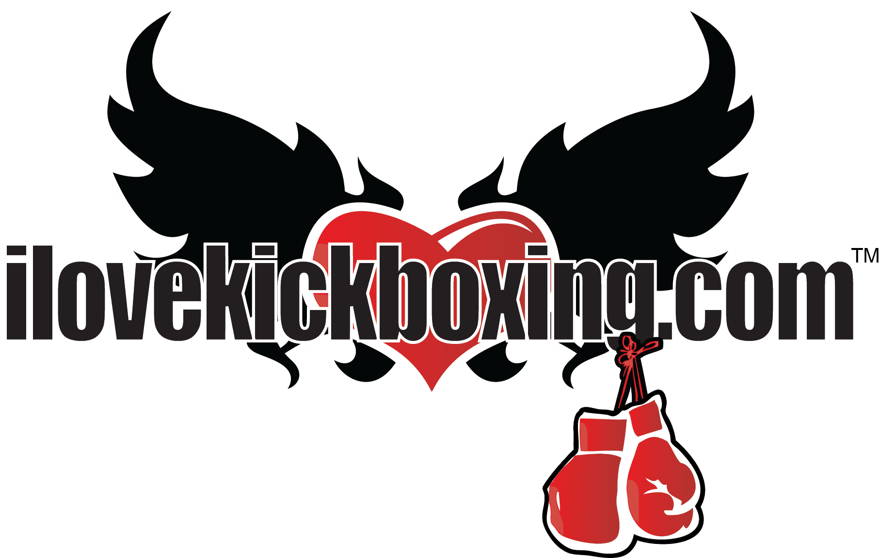 Our popular iLoveKikcboxing.com program!