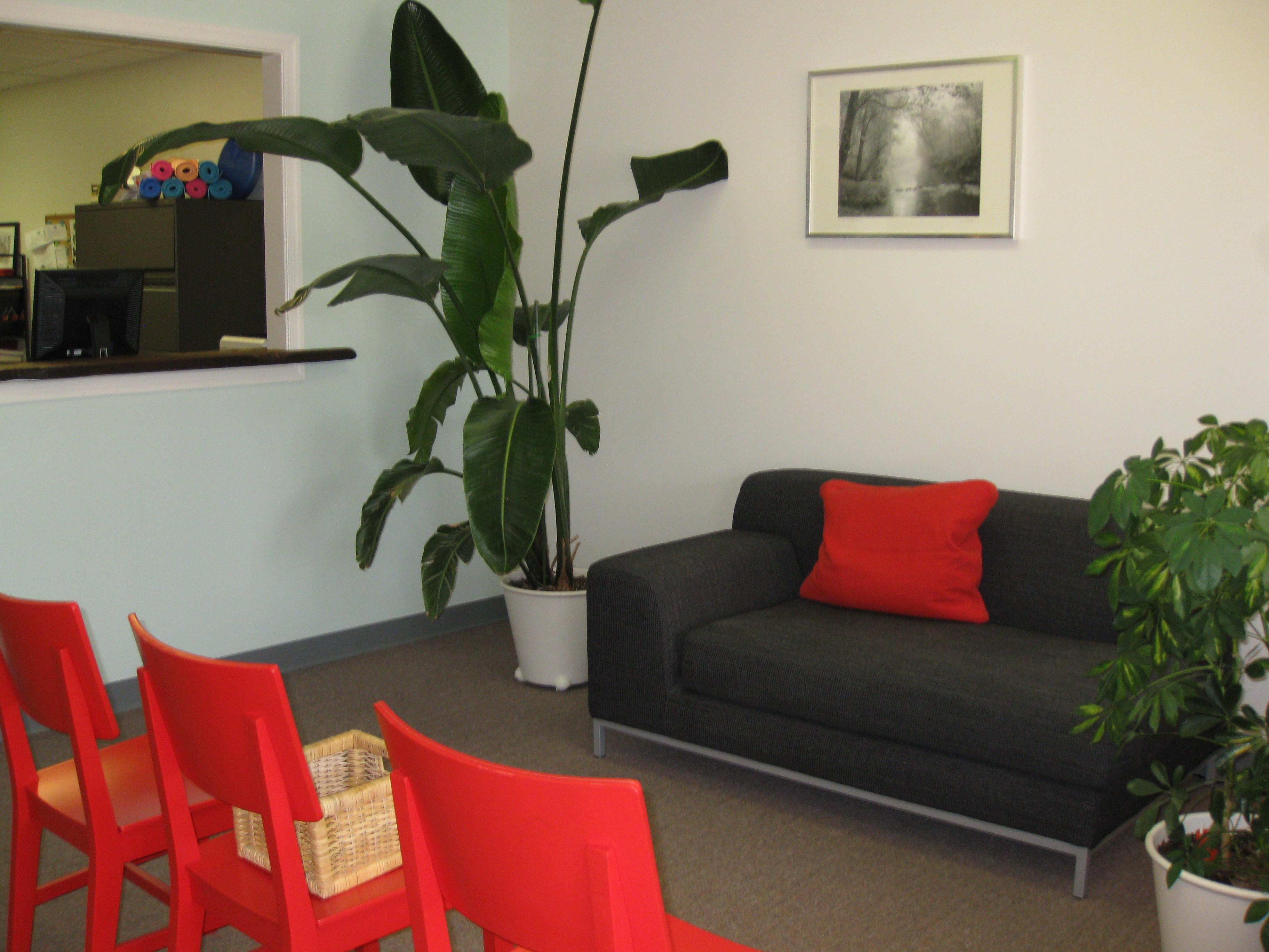 Our serene office is ready to welcome you!