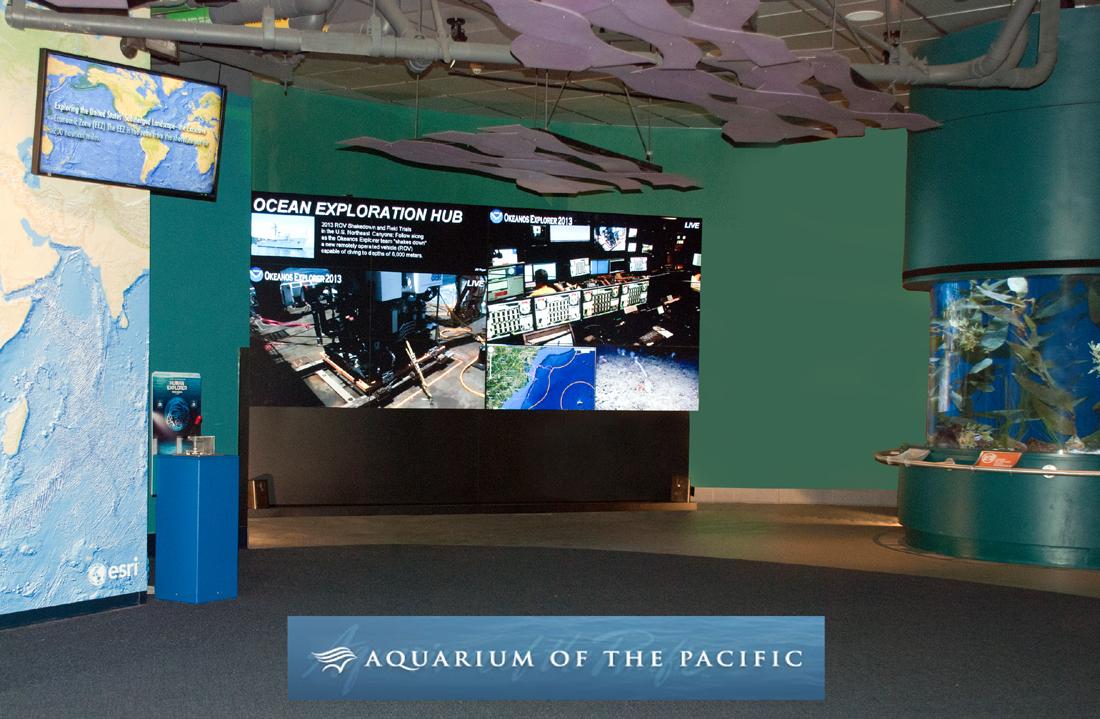 Aquarium of the Pacific