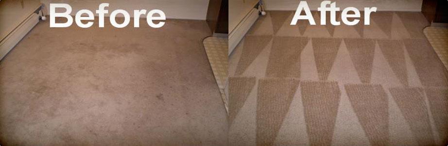 Sack's Carpet & Upholstery Cleaning