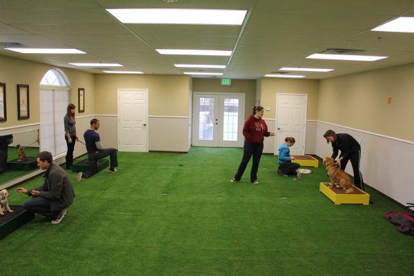 Our training and behavior room