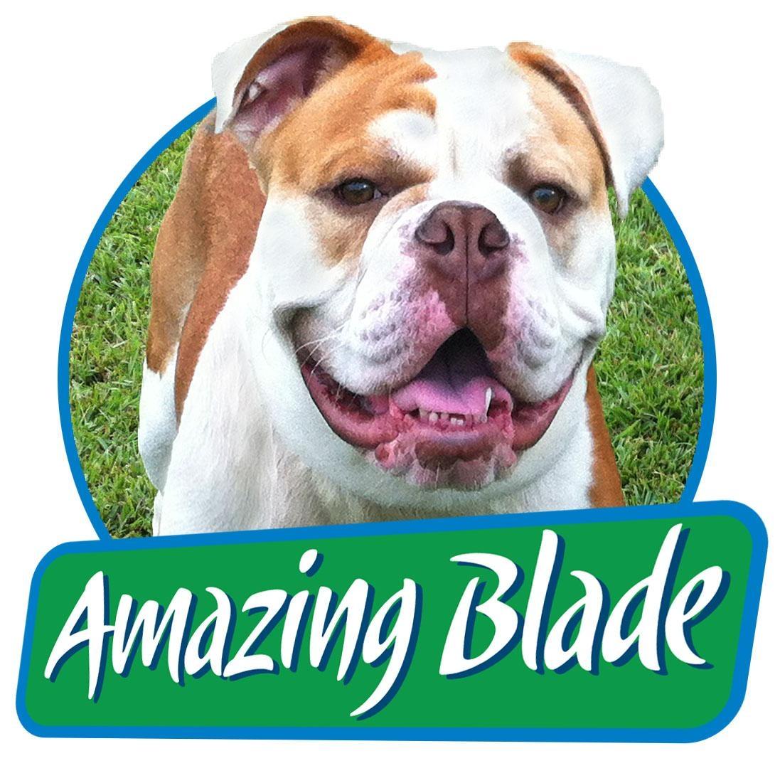 Amazing Blades Landscaping