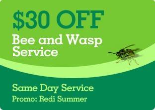 Bee Removal Coupon Seattle, WA