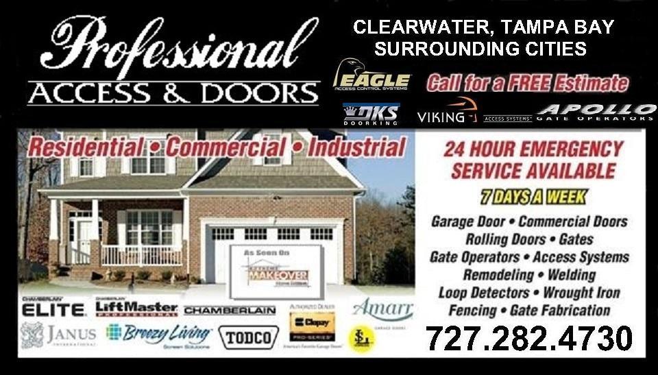 PROFESSIONAL ACCESS & DOORS