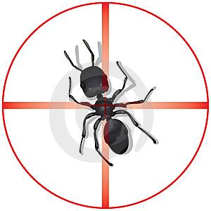 pest control west covina