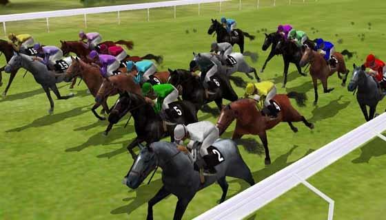 Horse Racing Simulation, LLC