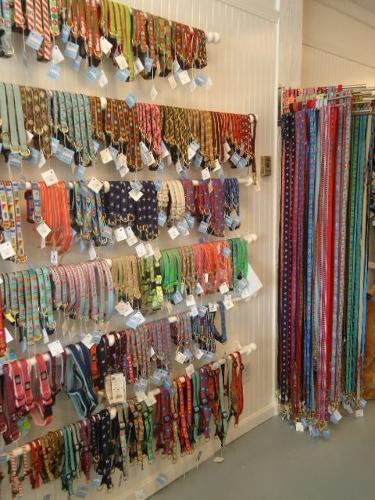 Collars, leashes and harnesses for dogs of all sizes