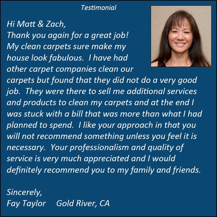 Carpet Cleaning Review 2