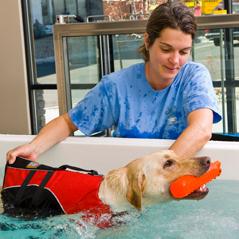 Animal Rehabilitation, Physical Therapy, Acupuncture, Chiropractic, Recreational Swimming