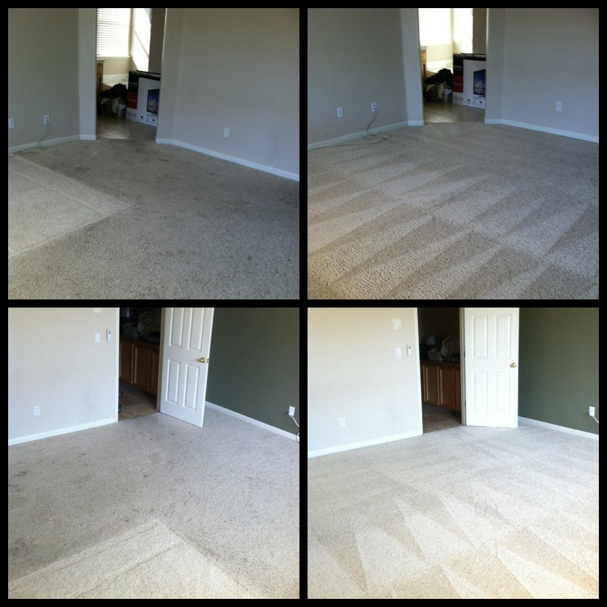 Carpet Cleaning Before and After