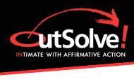 OutSolve, LLC