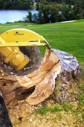 Stump Grinding