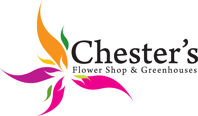 Chester's Flower Shop And Greenhouses