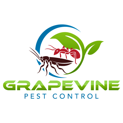 Grapevine Pest Control