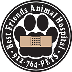 Best Friends Animal Hospital