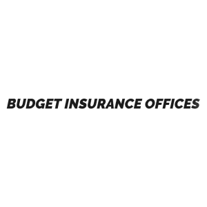 Budget Insurance Offices, Inc.