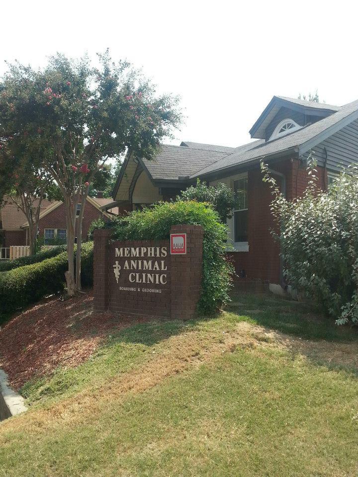 Memphis Animal Clinic