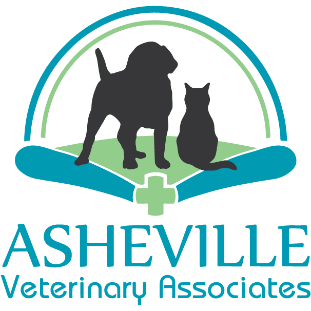 Asheville Veterinary Associates - South