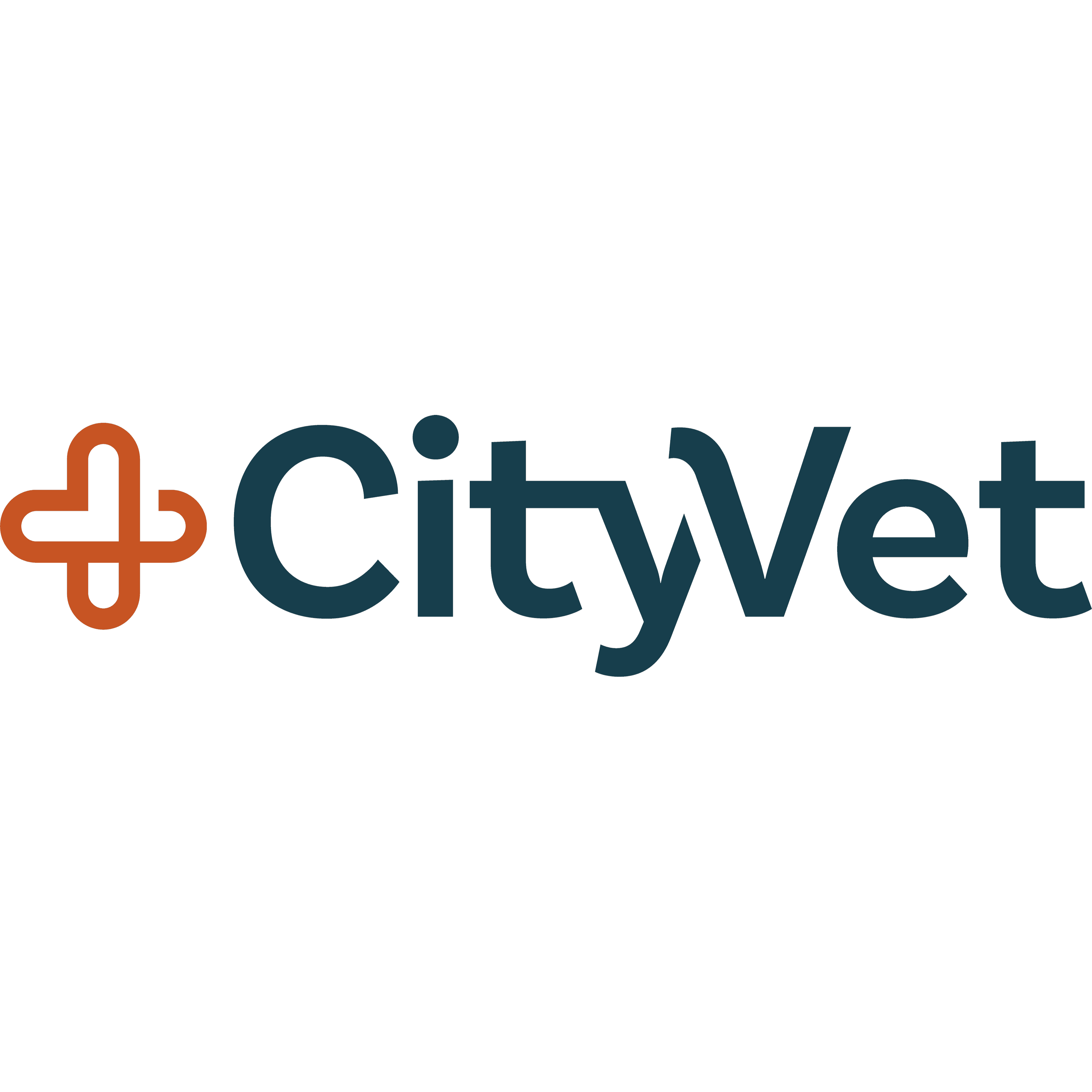 CityVet | Addison