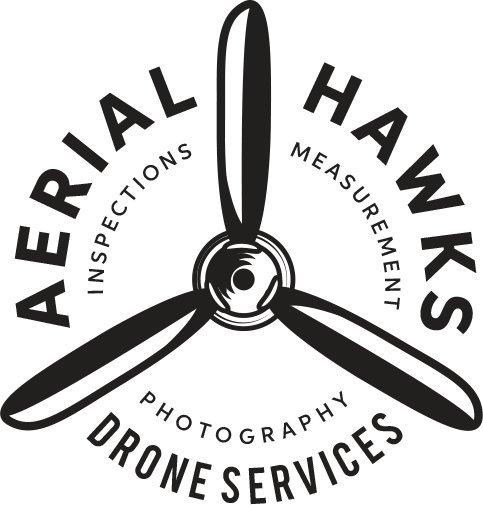 Aerial Hawks