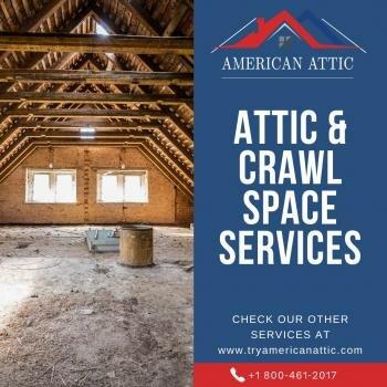 American Attic