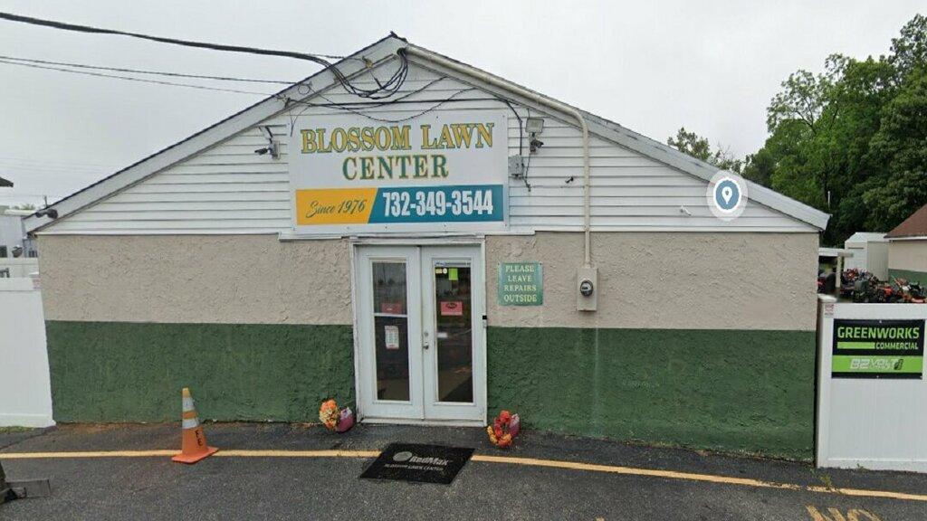 Blossom Lawn Center Inc