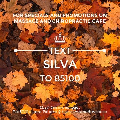 Silva Chiropractic And Massage