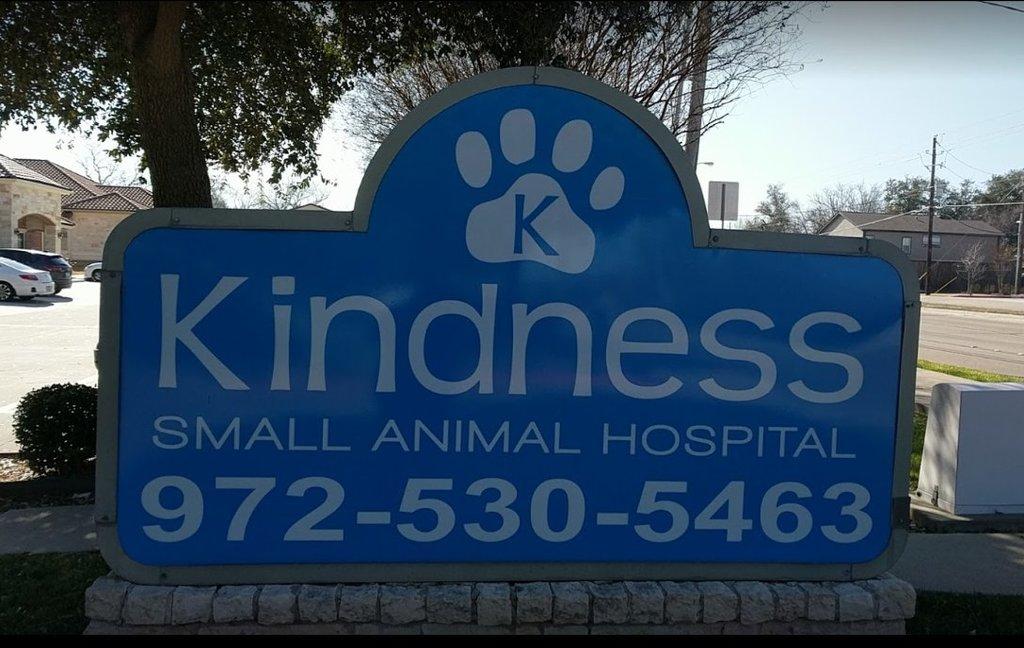 Aron Neeman, DVM - Kindness Small Animal Hospital