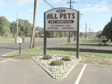 All Pets Vet Hospital