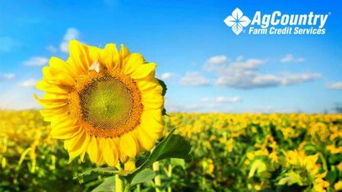 AgCountry Farm Credit Services