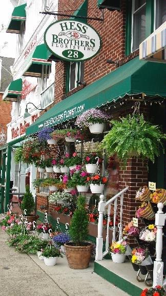 Hess Brothers Florist