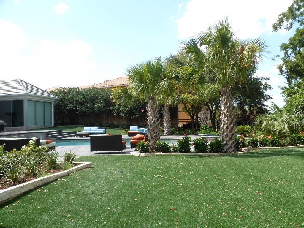 Texas Palm Trees and Irrigation LLC