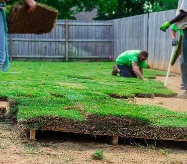 Inland Sod