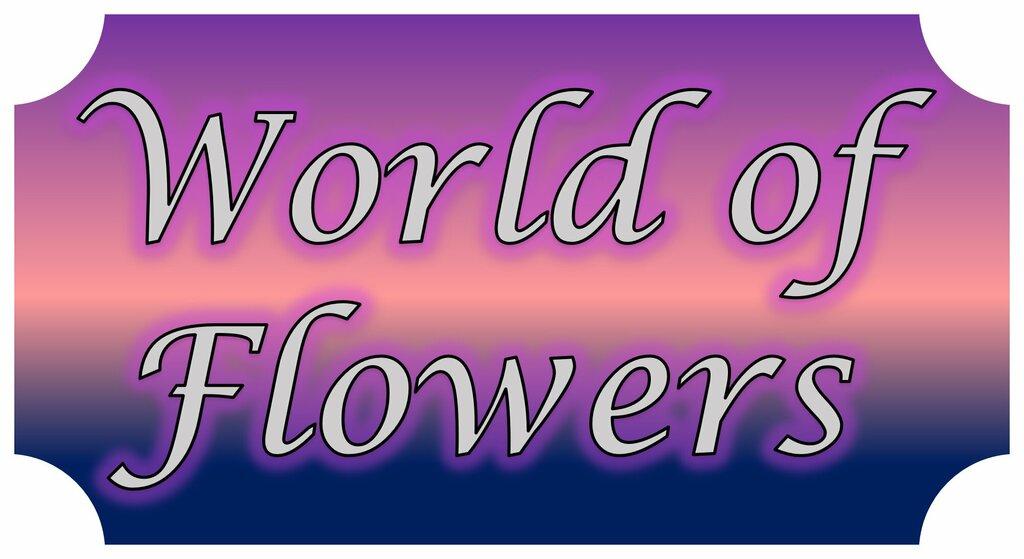 World of Flowers & Gift