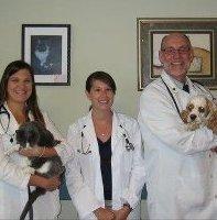 CVH Veterinary Associates PC