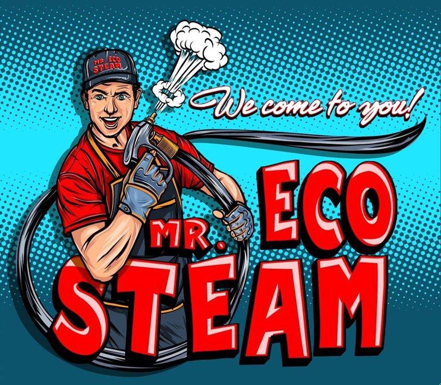 Mr Eco Steam