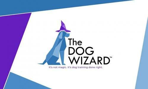 The Dog Wizard Twin Cities