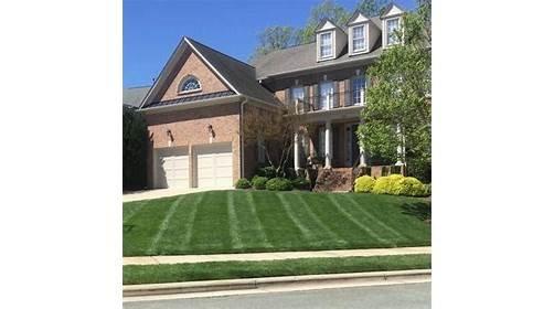 Canopy Lawn Care Raleigh