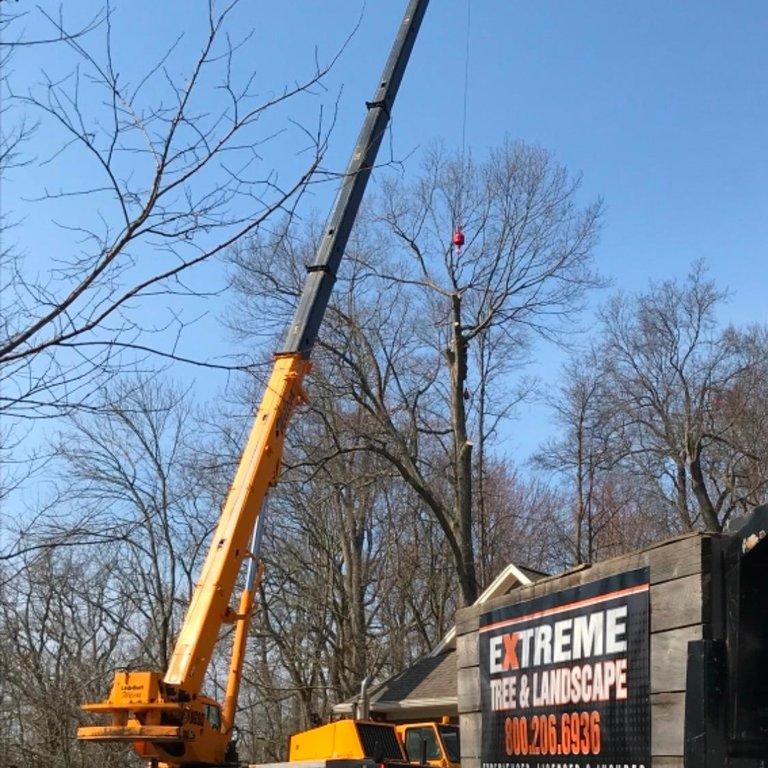 Extreme Tree & Landscape LLC