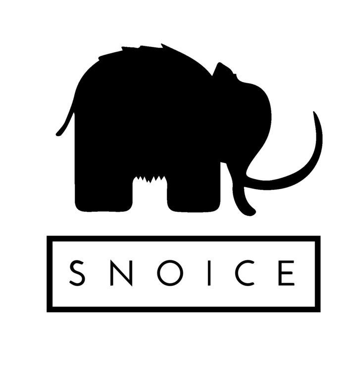 Snoice