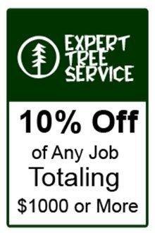 Expert Tree Service