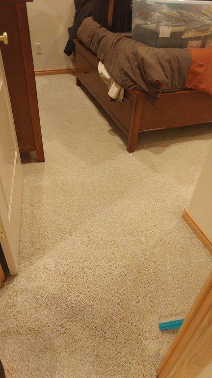 Circuit Rider Carpet Cleaning