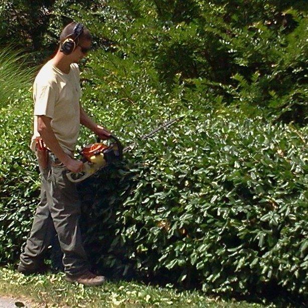 Blackwood Landscaping and Lawn Care